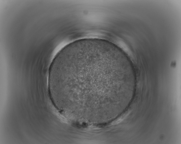 X0000092101275200709191259