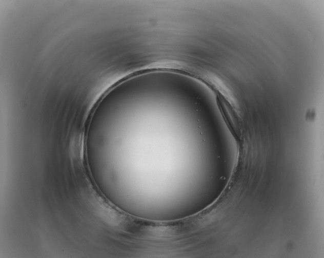 X0000092101276200709191259