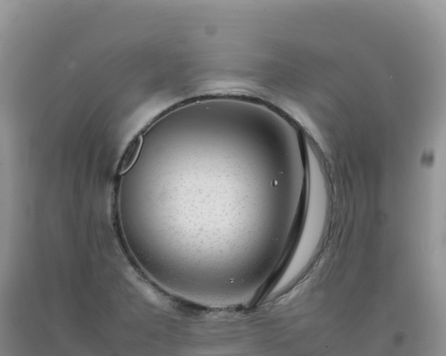 X0000092101277200709191259