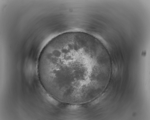 X0000092101278200709191259