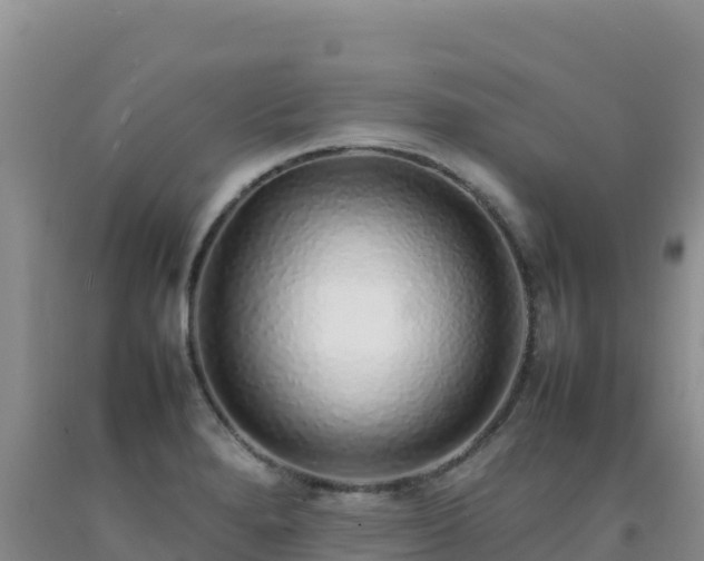 X0000092101280200709191259