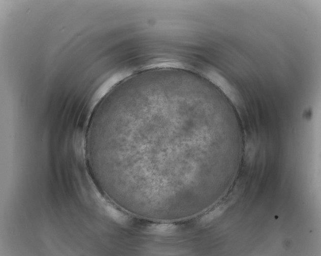 X0000092101282200709191259