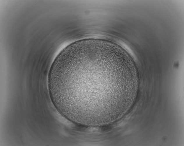 X0000092101283200709191259