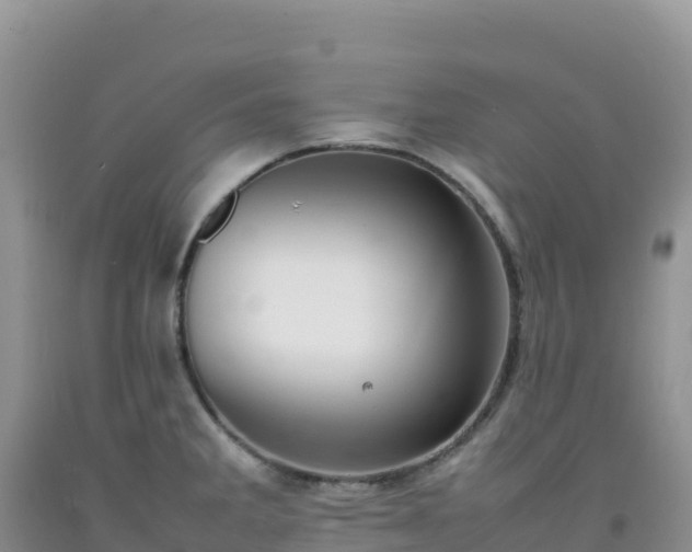 X0000092101285200709191259