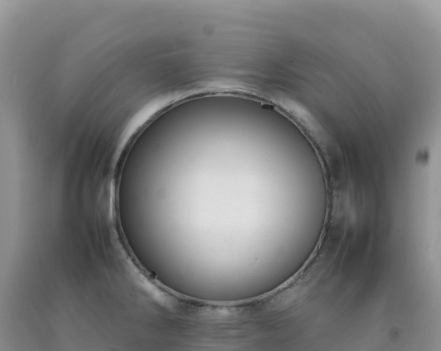 X0000092101286200709191259