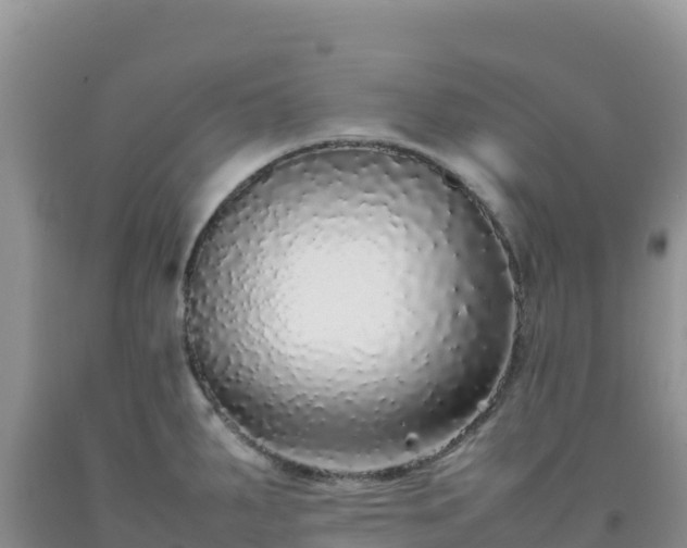 X0000092101287200709191259