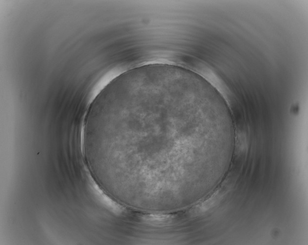 X0000092101290200709191259