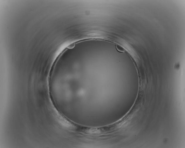 X0000092101291200709191259