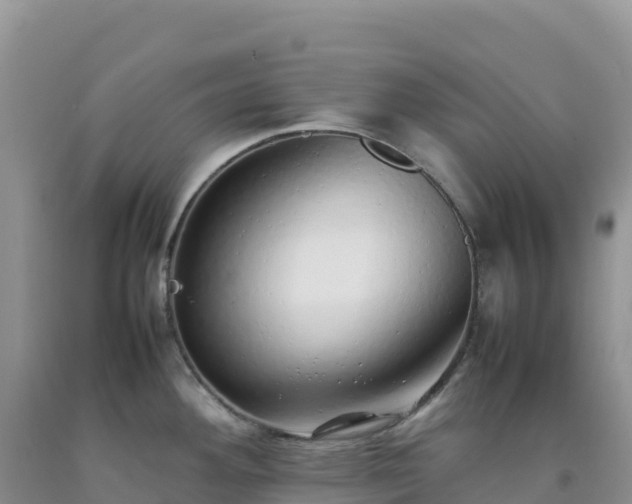 X0000092101292200709191259