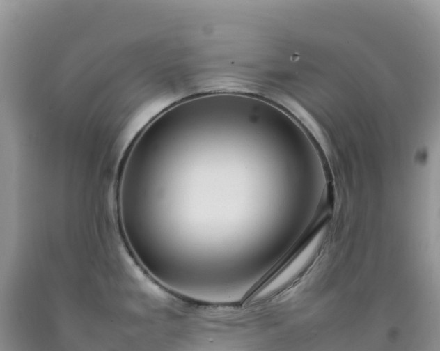 X0000092101293200709191259