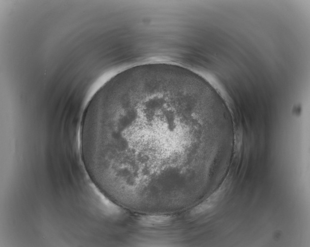 X0000092101294200709191259