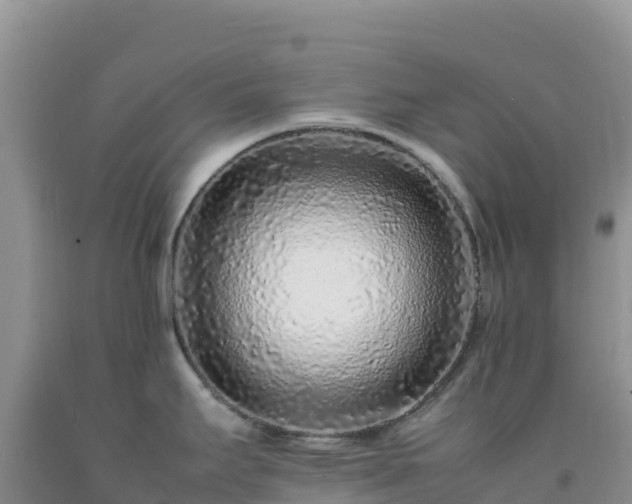 X0000092101295200709191259