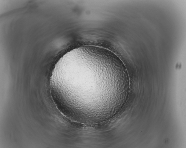 X0000092101297200709191258