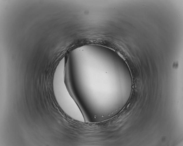 X0000092101298200709191258