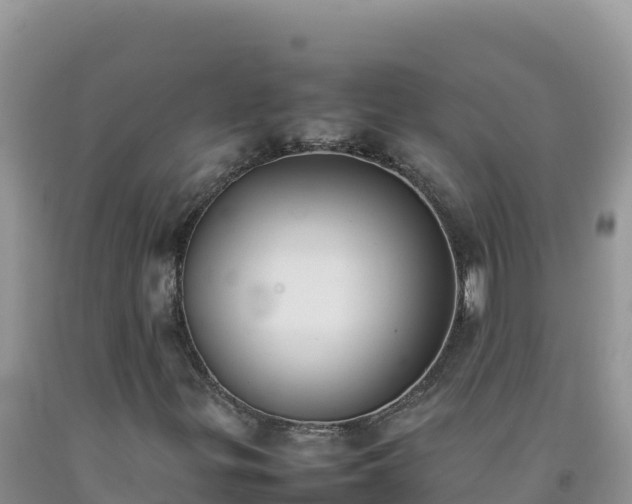 X0000092101299200709191258