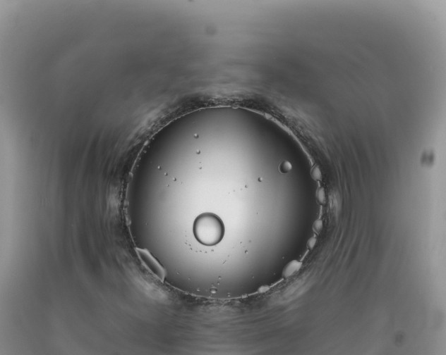 X0000092101300200709191258