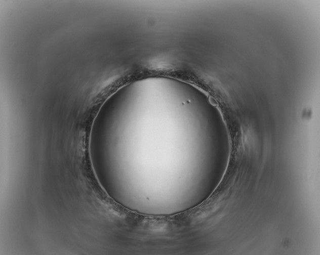 X0000092101301200709191258