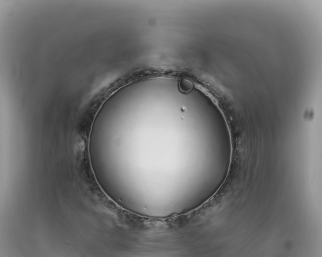 X0000092101302200709191258