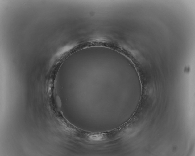 X0000092101303200709191258