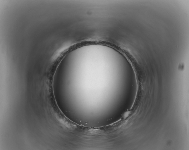 X0000092101304200709191258