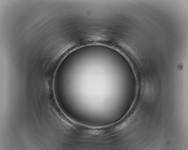 X0000092101305200709191258