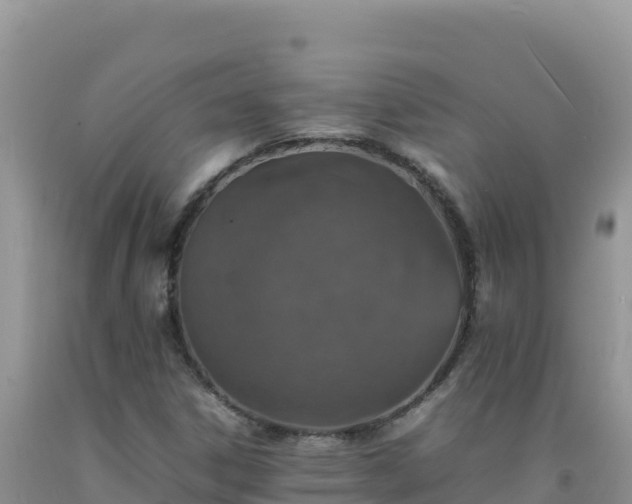 X0000092101306200709191258