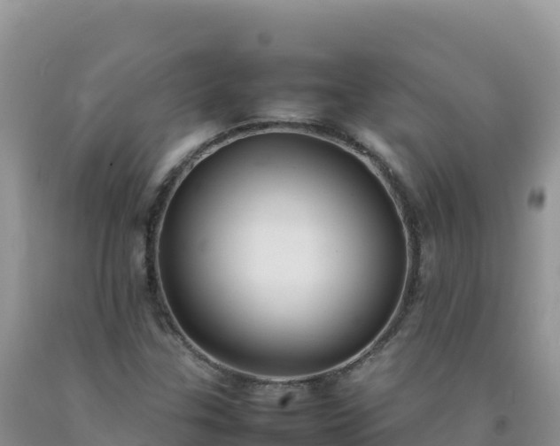 X0000092101307200709191258