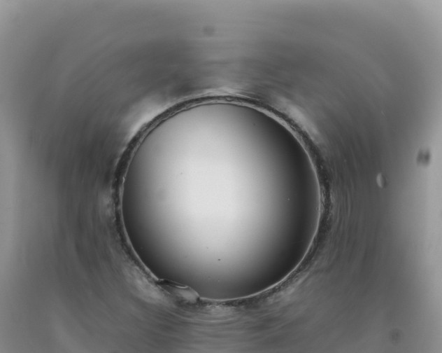 X0000092101308200709191258