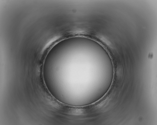 X0000092101309200709191258