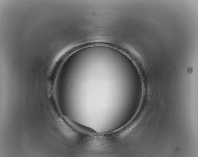 X0000092101310200709191258