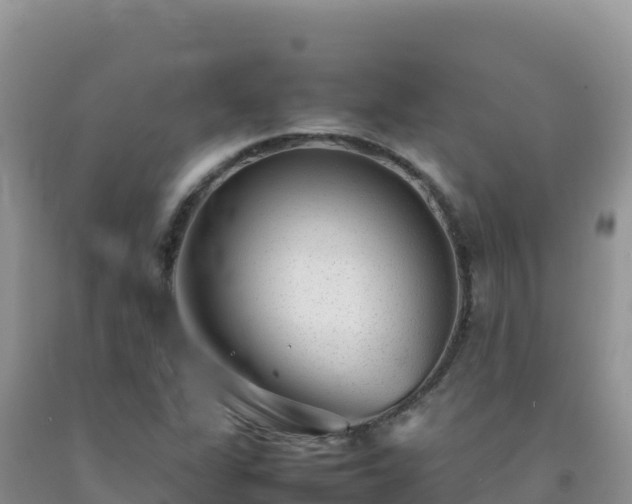 X0000092101311200709191258