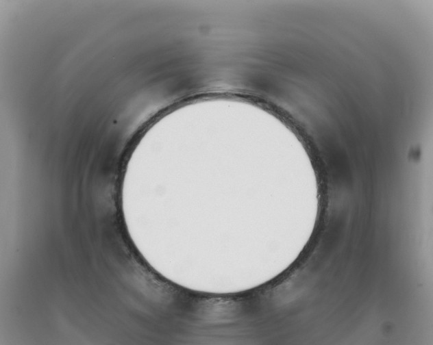 X0000092101314200709191258