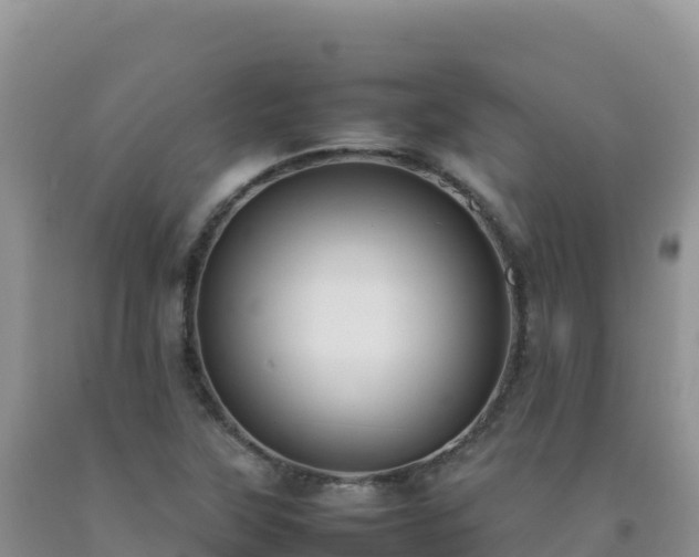 X0000092101315200709191258