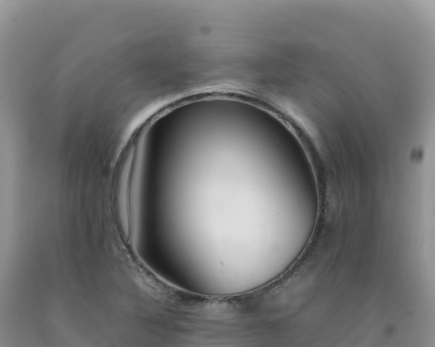 X0000092101316200709191258