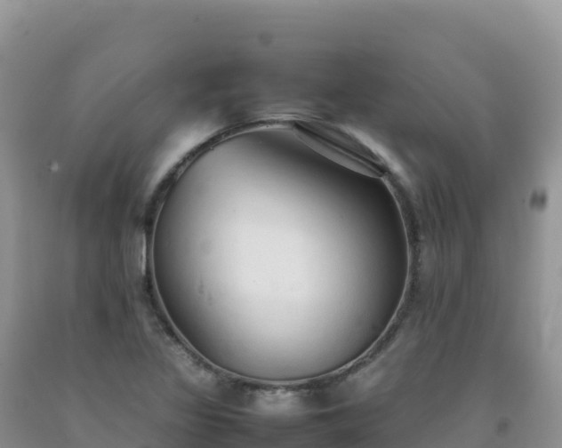 X0000092101317200709191258