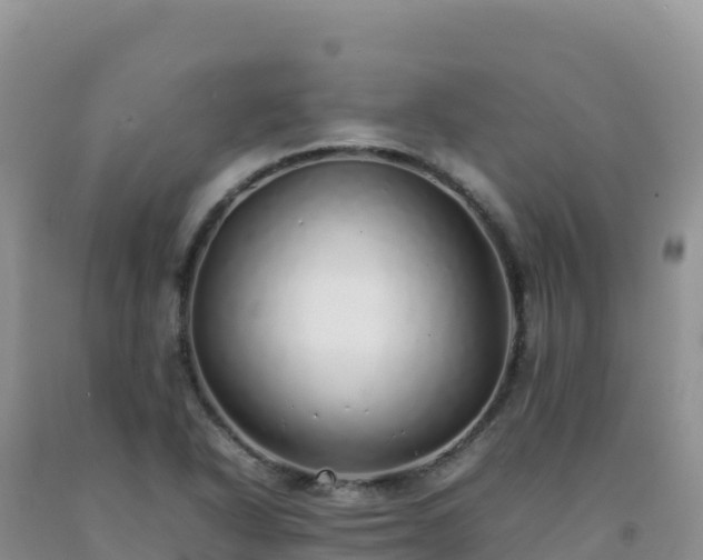 X0000092101318200709191258