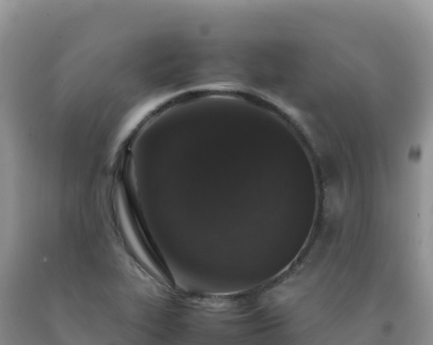 X0000092101319200709191258