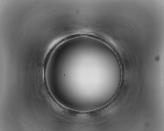 X0000092101320200709191258