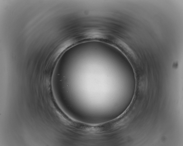 X0000092101321200709191258