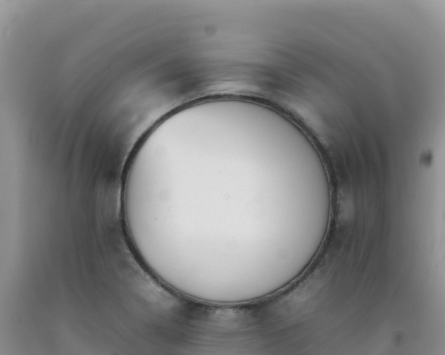 X0000092101322200709191258