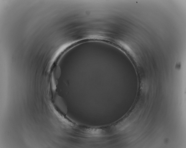 X0000092101323200709191258