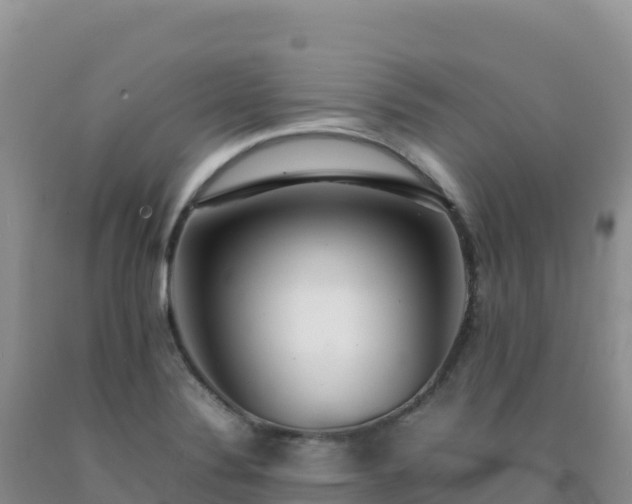 X0000092101324200709191258