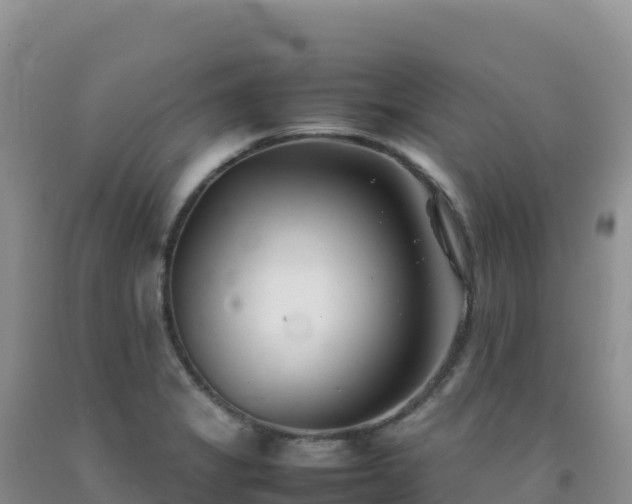 X0000092101325200709191258