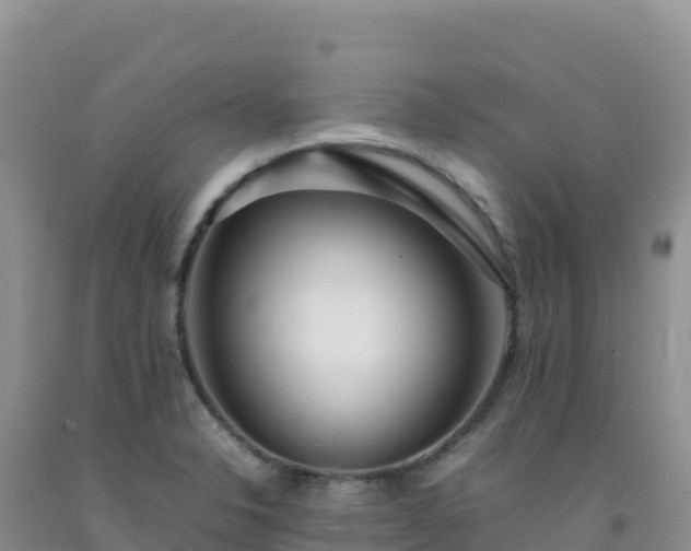 X0000092101326200709191258