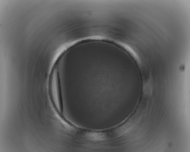 X0000092101327200709191258