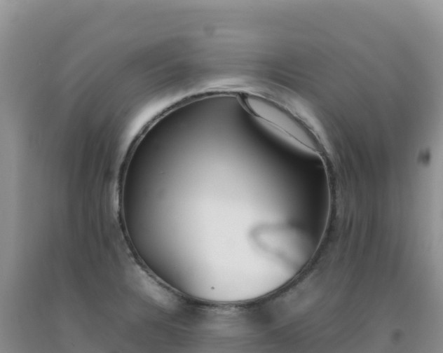 X0000092101328200709191258