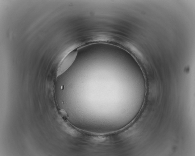 X0000092101329200709191258