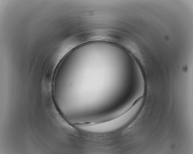 X0000092101330200709191258