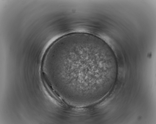 X0000092101331200709191258