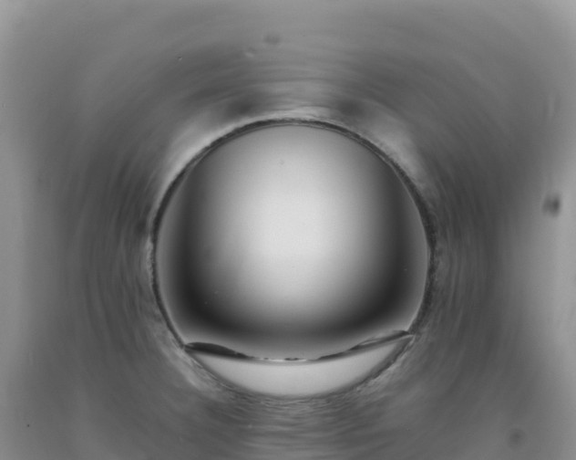 X0000092101332200709191258